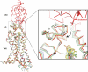 Extended Data Figure 5