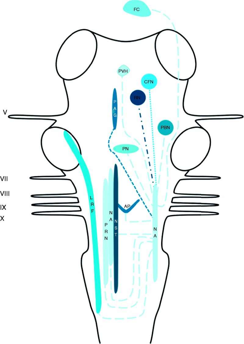 Figure 2.