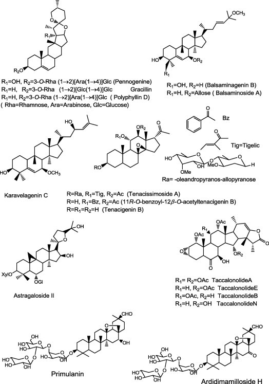 Fig. 10