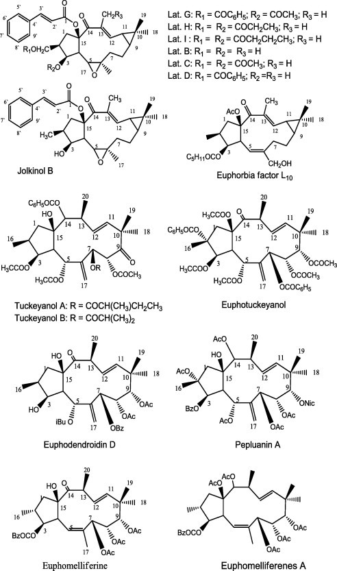 Fig. 5