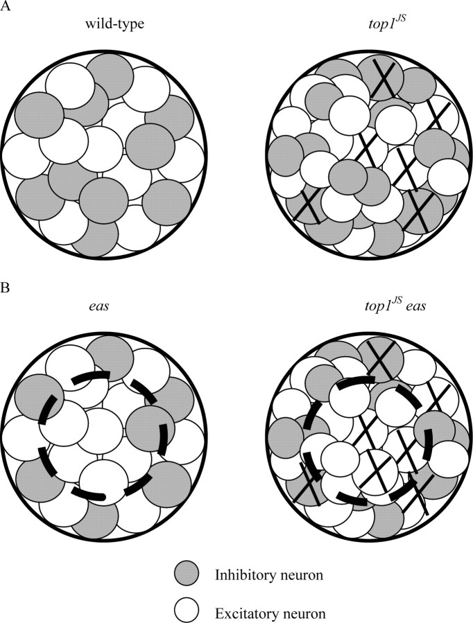 Figure 10.