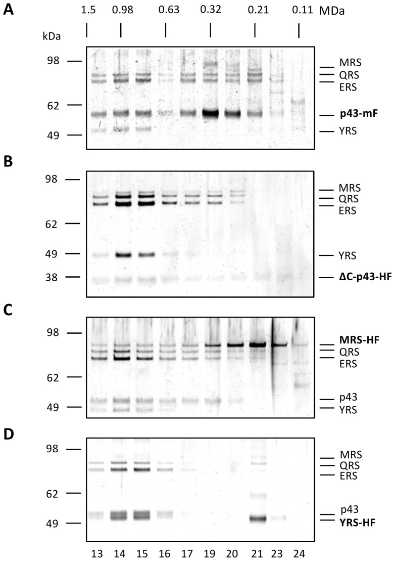 Figure 6