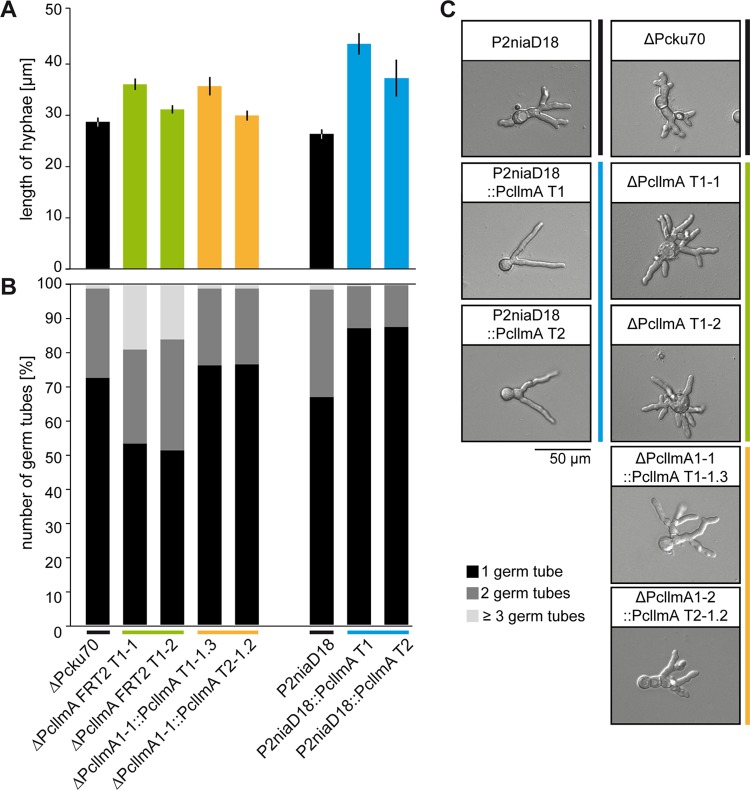 FIG 6 