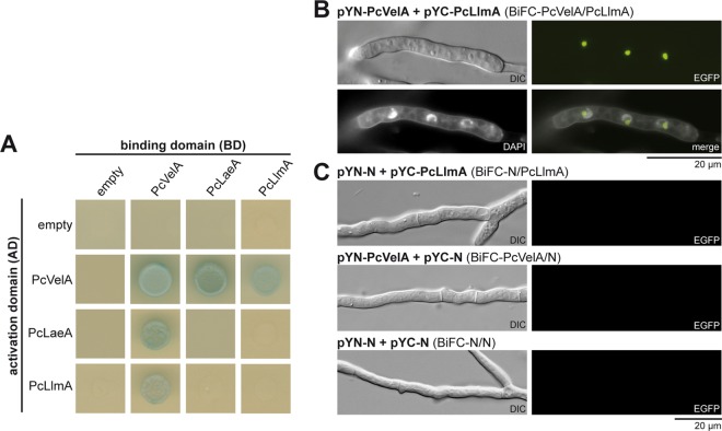 FIG 3 