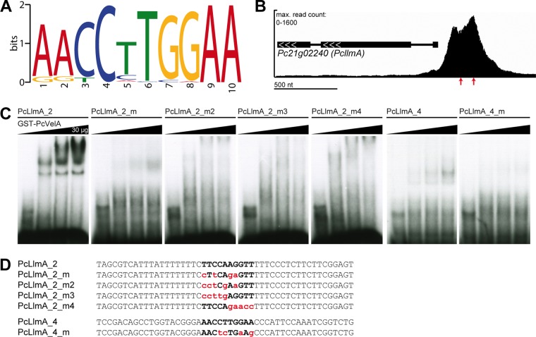 FIG 1 