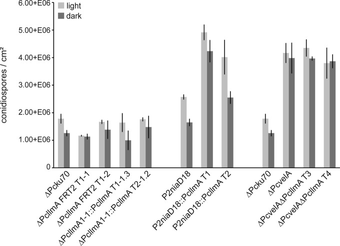 FIG 4 