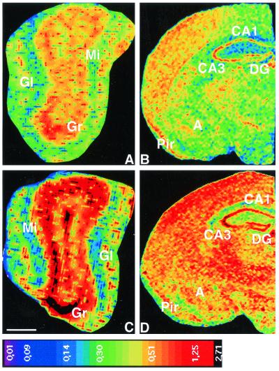 FIG. 6.