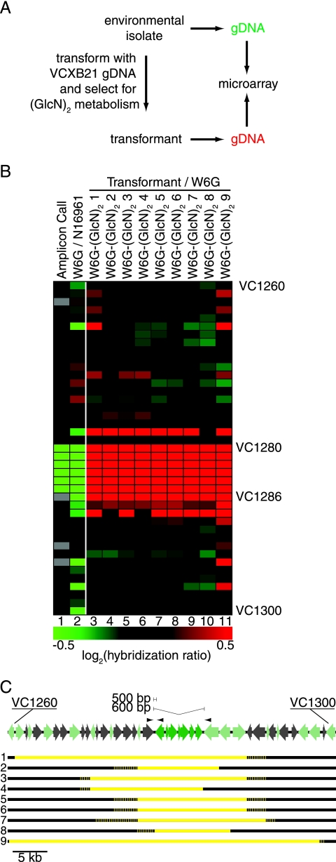 FIG. 4.