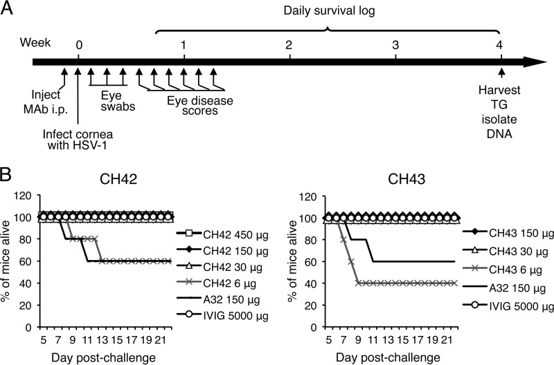 FIG 4