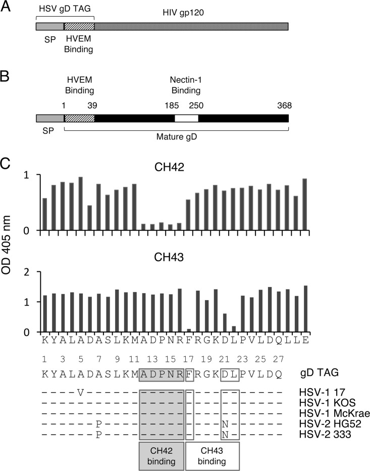 FIG 1