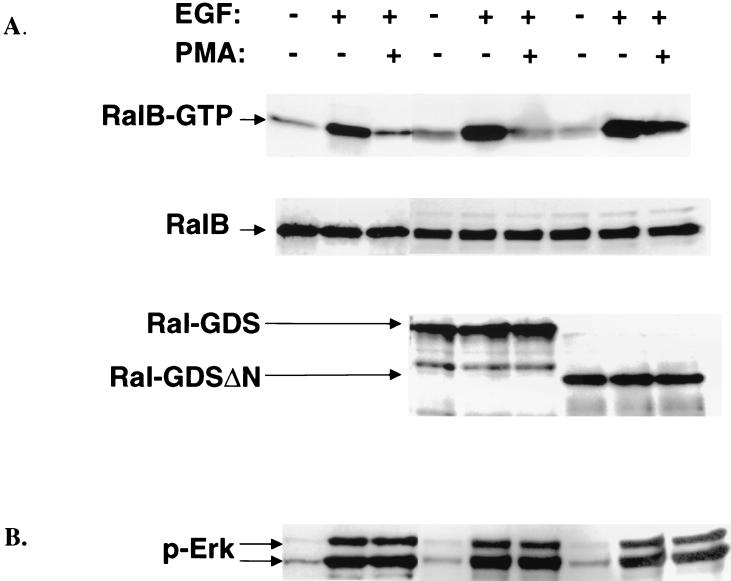 FIG. 7