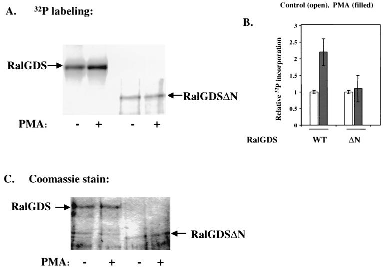 FIG. 6