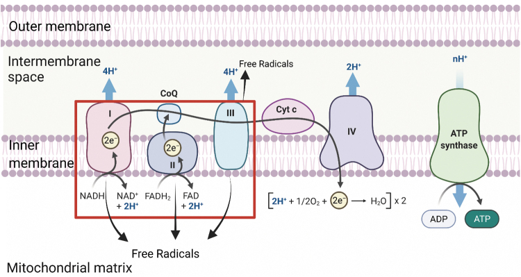 FIG. 3.