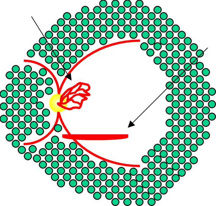 Figure 3a