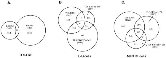 FIG. 5.