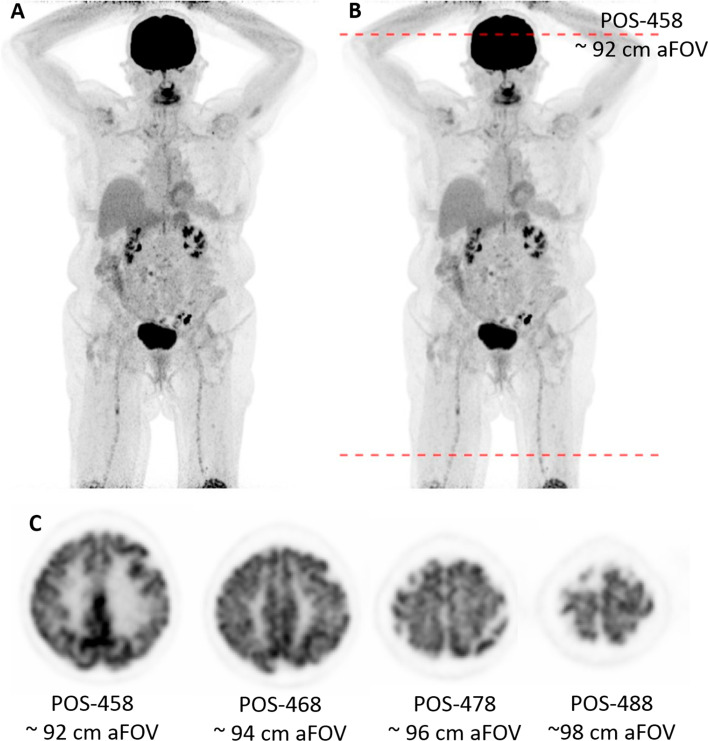 Fig. 7