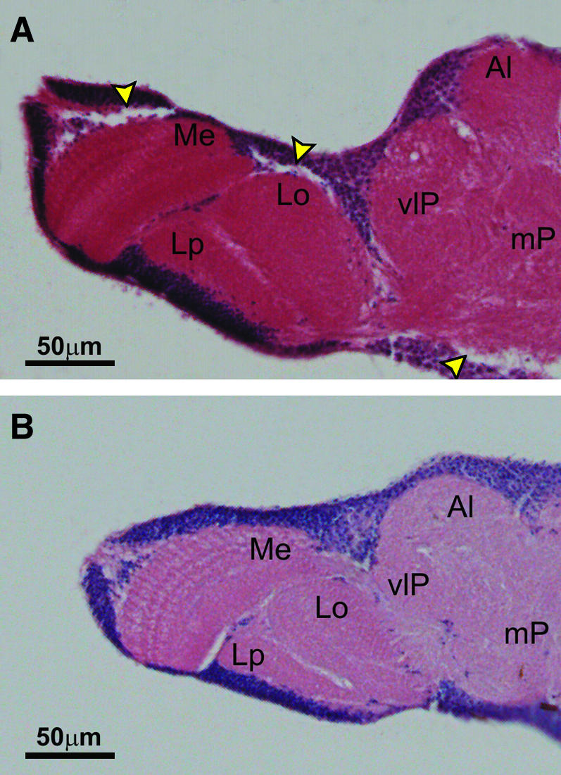 Figure 9.