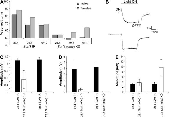 Figure 10.