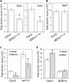 Figure 1—figure supplement 3.