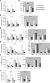 Figure 4—figure supplement 3.