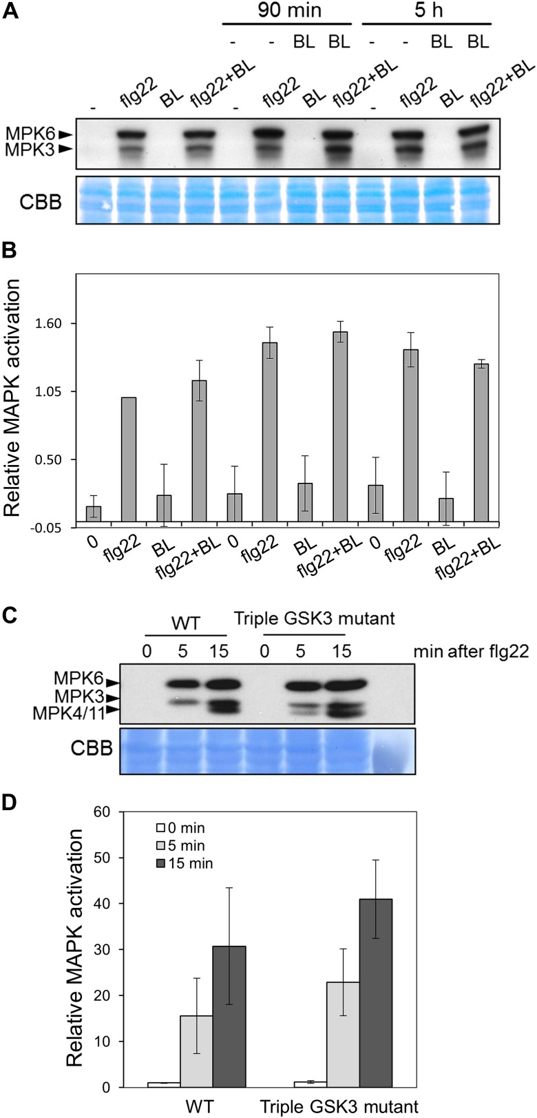 Figure 1—figure supplement 2.