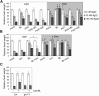 Figure 4—figure supplement 1.