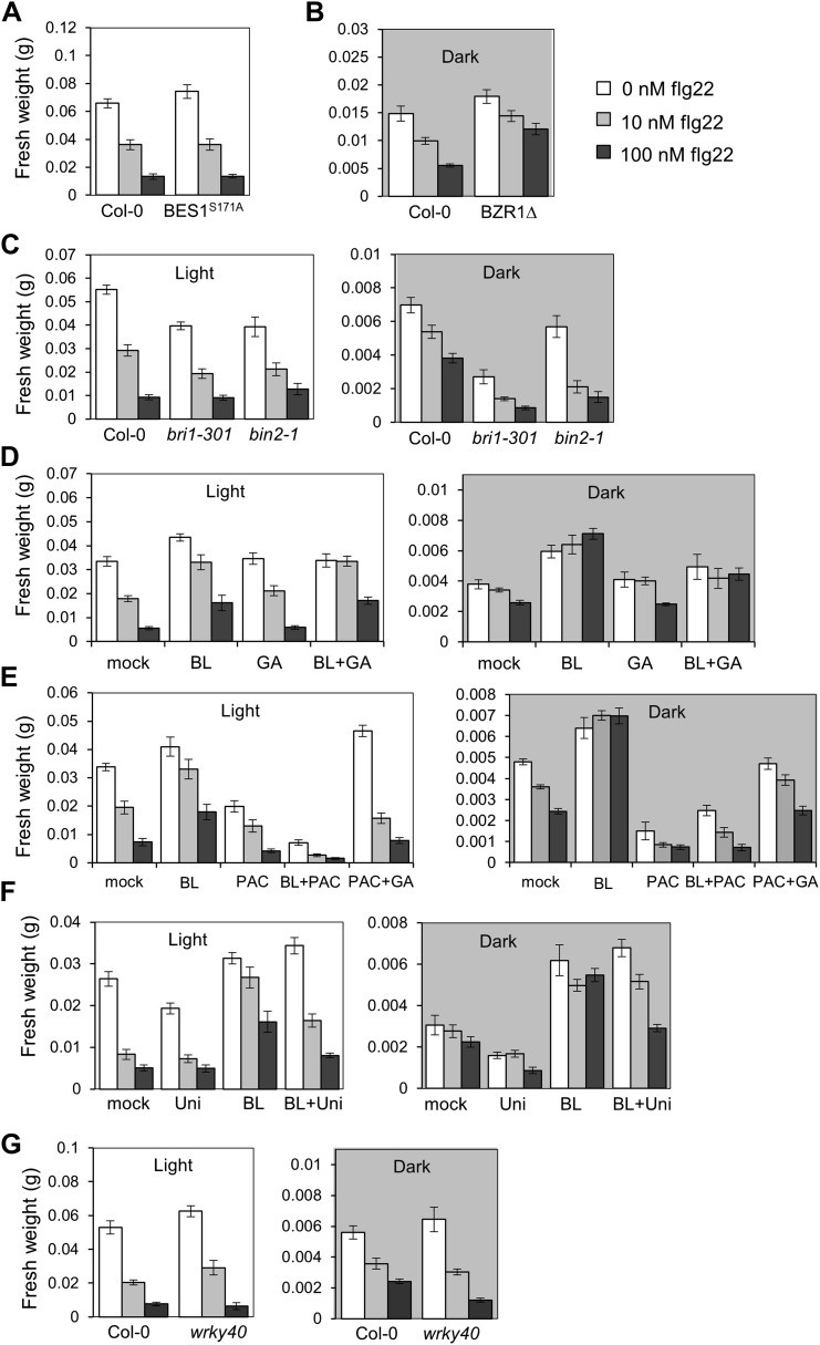 Figure 4—figure supplement 3.