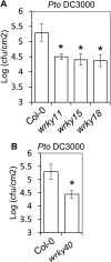 Figure 3—figure supplement 1.