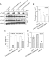 Figure 1—figure supplement 1.