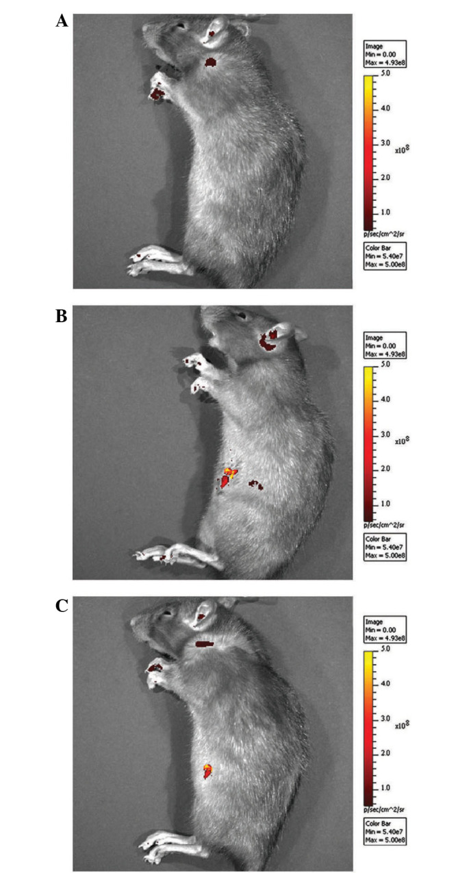 Figure 1.