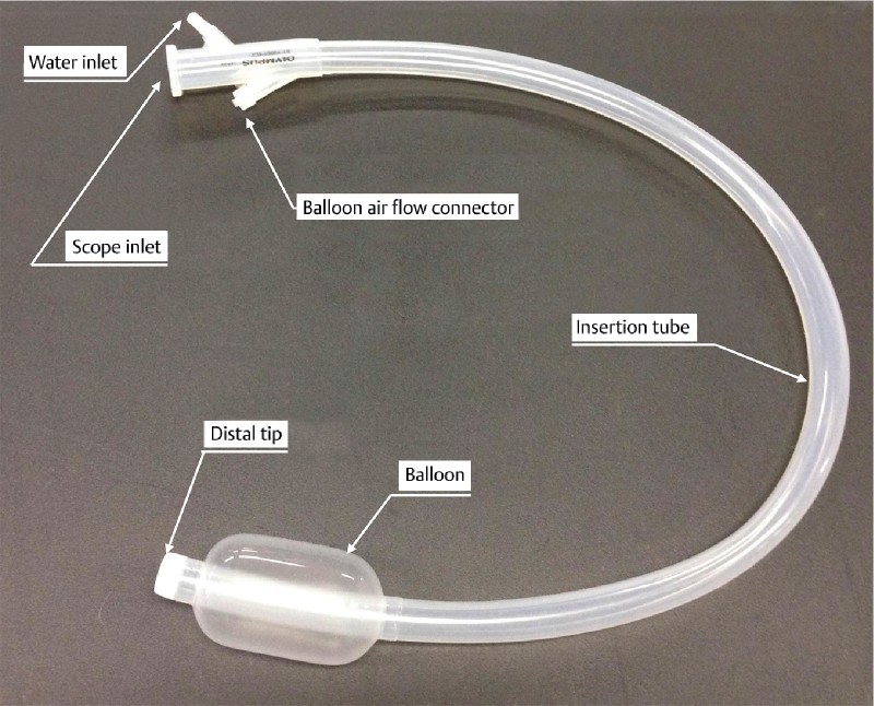 Fig. 2