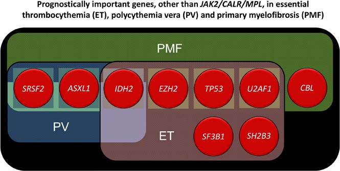 graphic file with name advances000216absf1.jpg