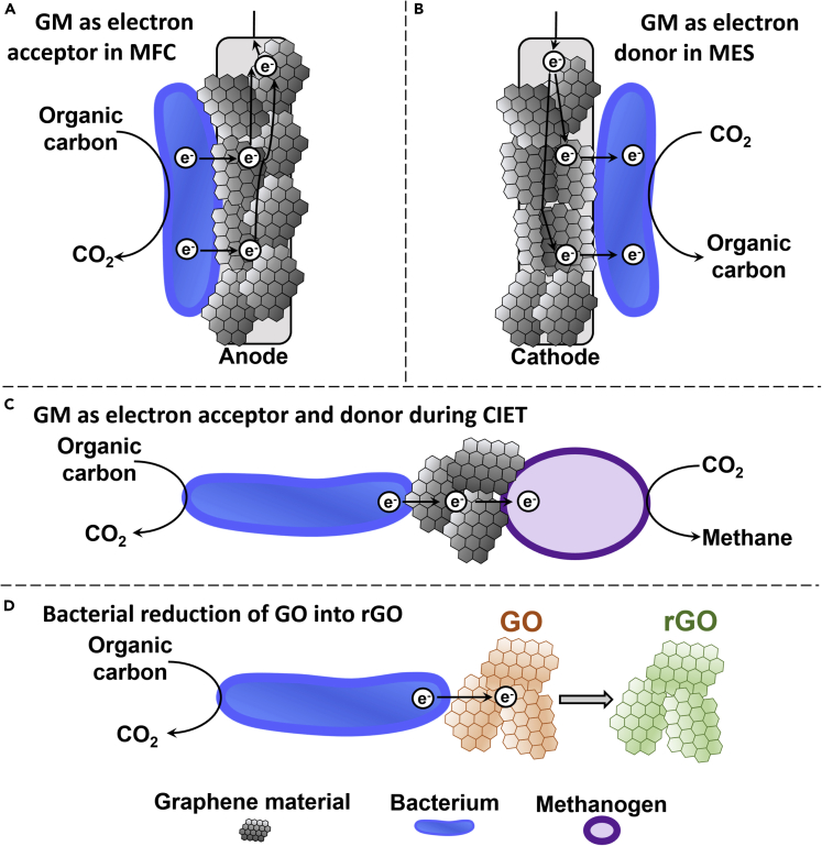 Figure 3