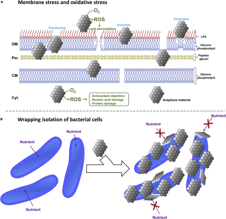 Figure 2