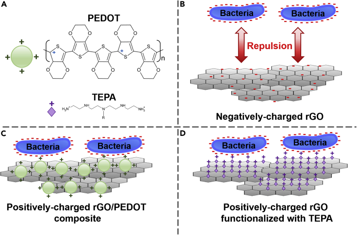 Figure 4