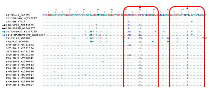 Figure 7