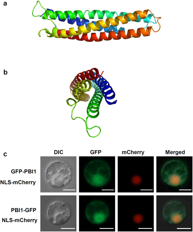 Fig. 3