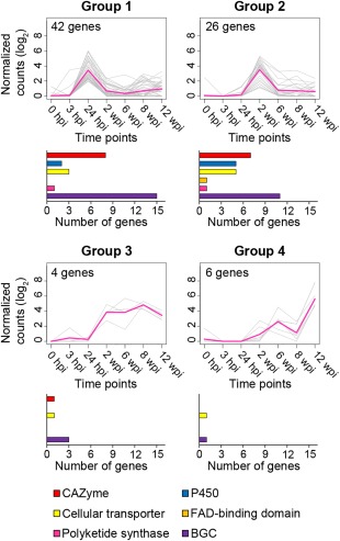 Figure 5