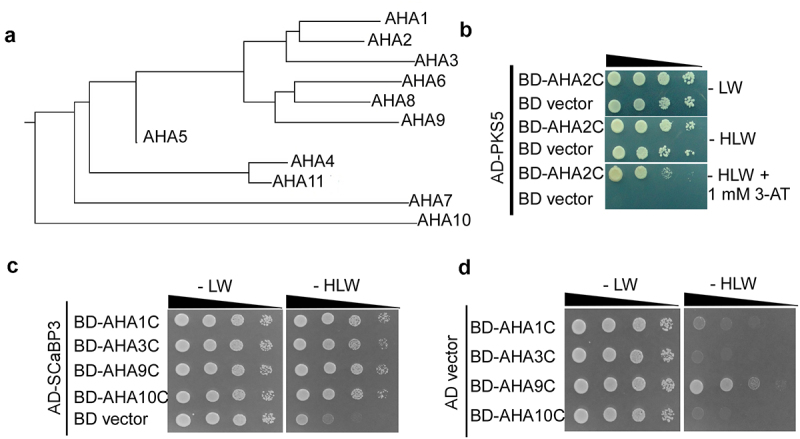 Figure 1.