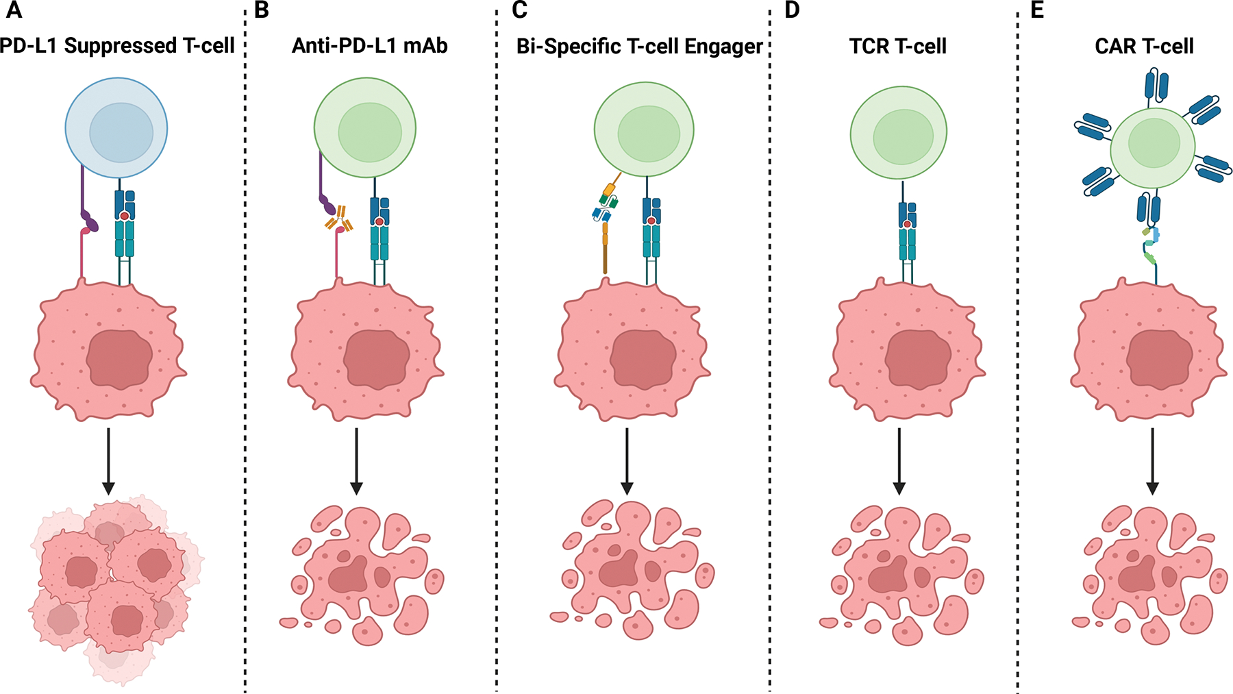 Figure 5: