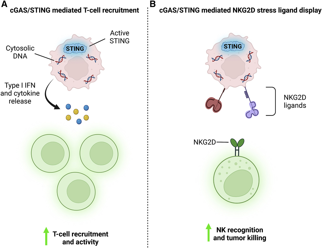 Figure 4: