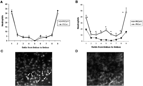 Figure 10.