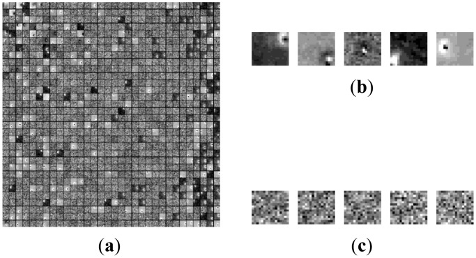 Figure 5.