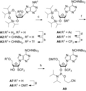 Scheme 2