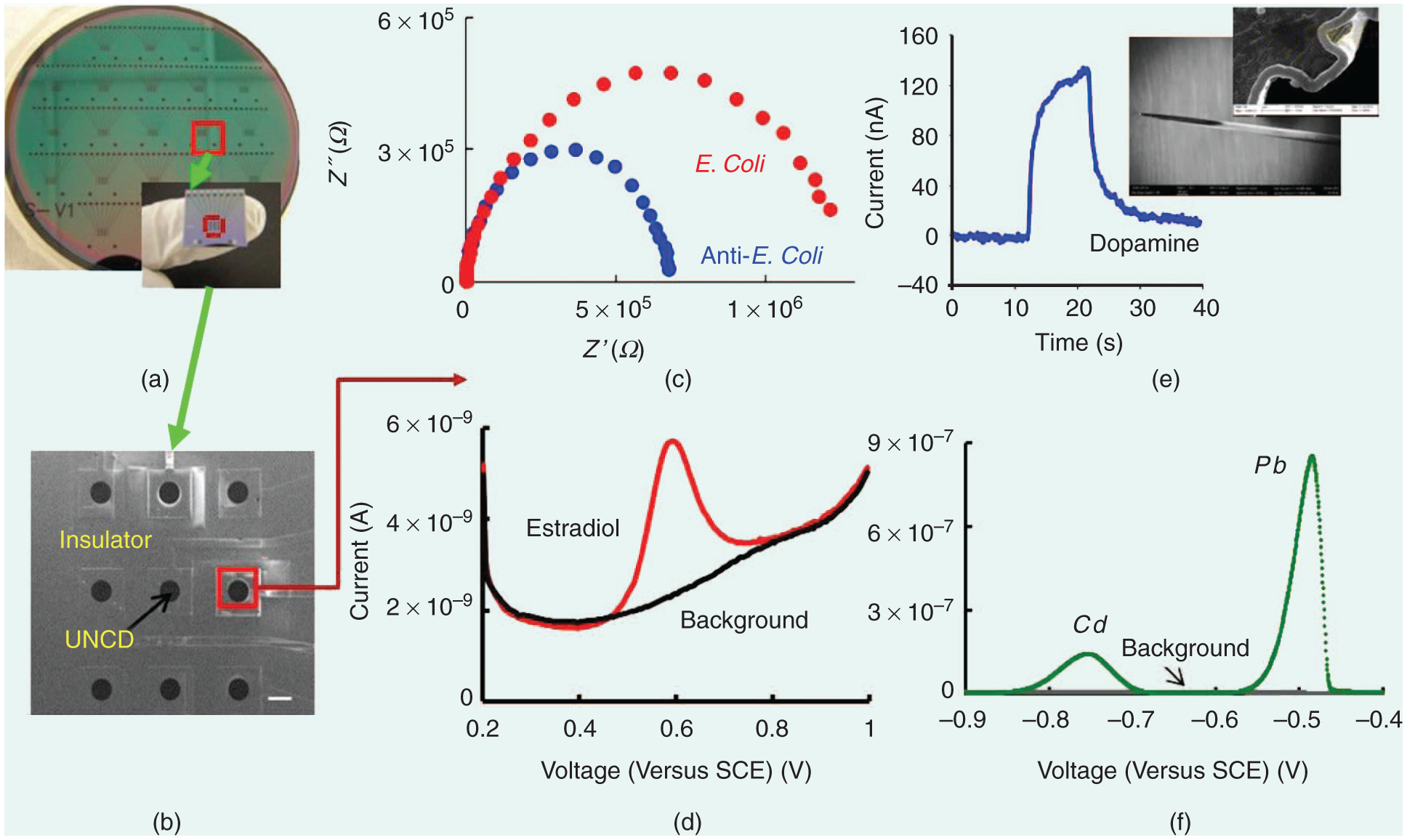 FIGURE 3