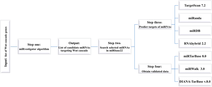 Figure 1