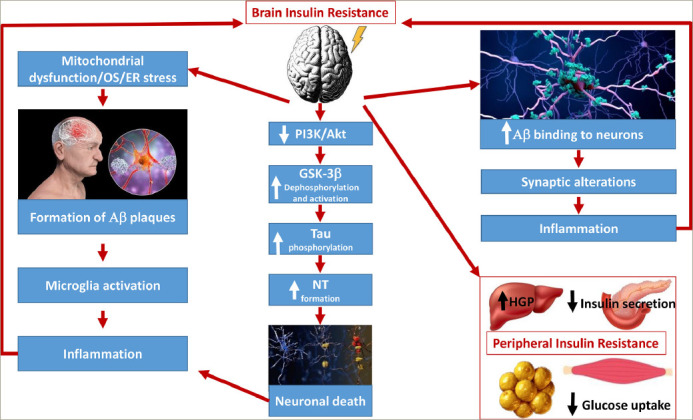 Figure 3: