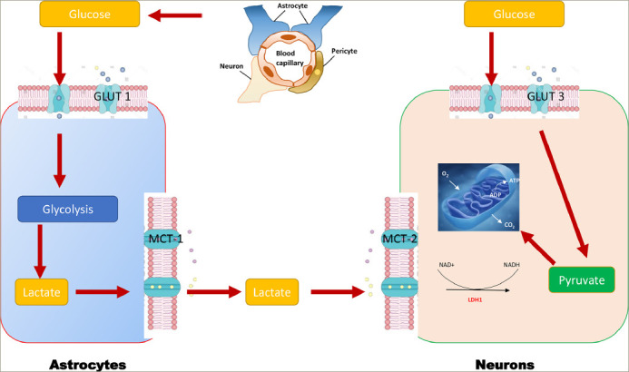 Figure 1: