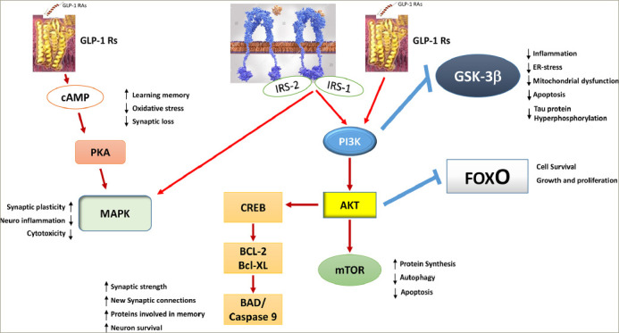 Figure 4: