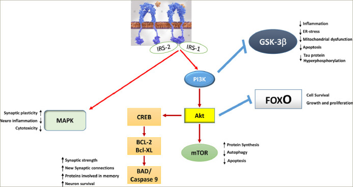 Figure 2: